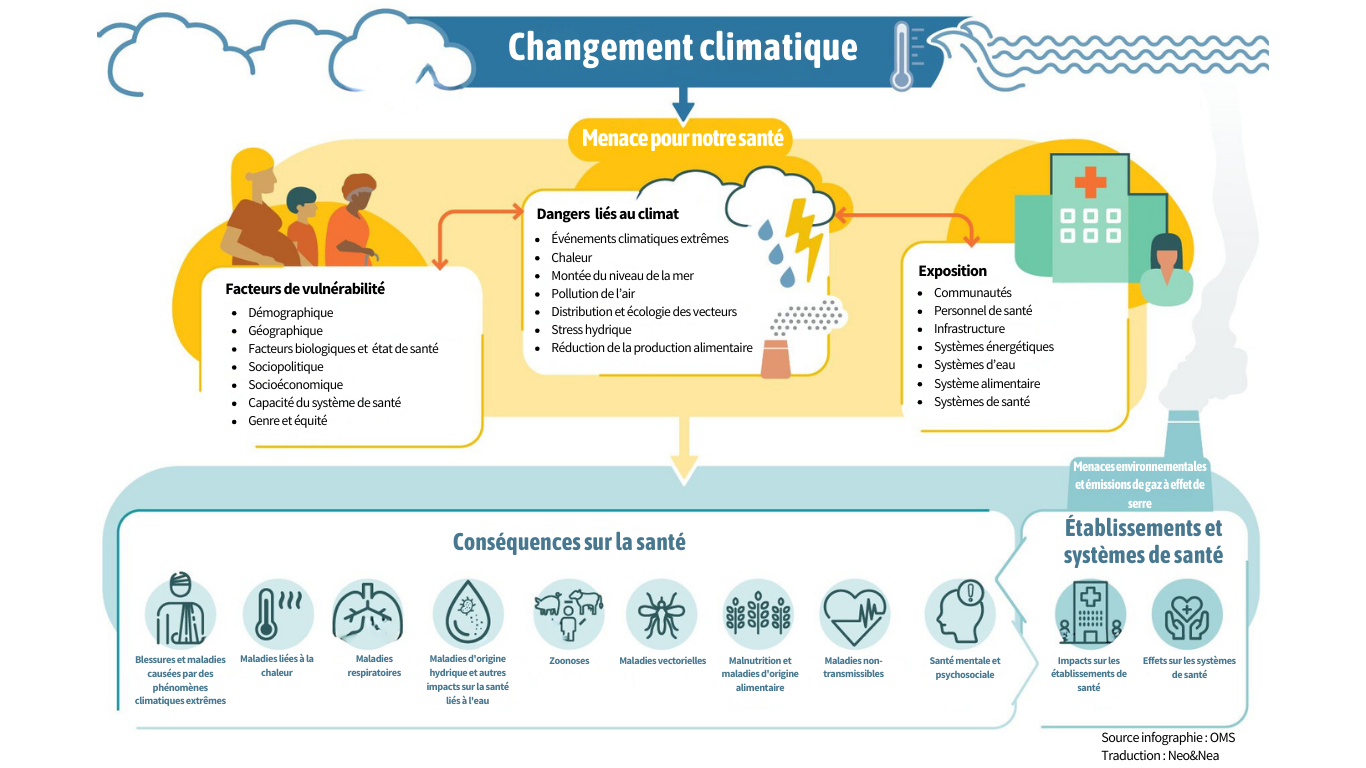 Conséquences du changement climatique sur la santé